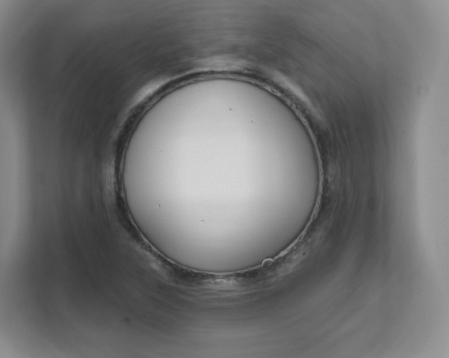 X0000111591315200907301418