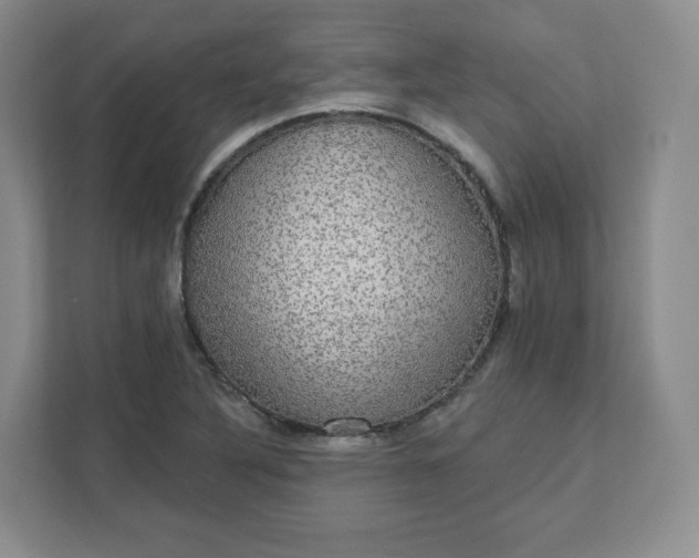 X0000111591316200907301418