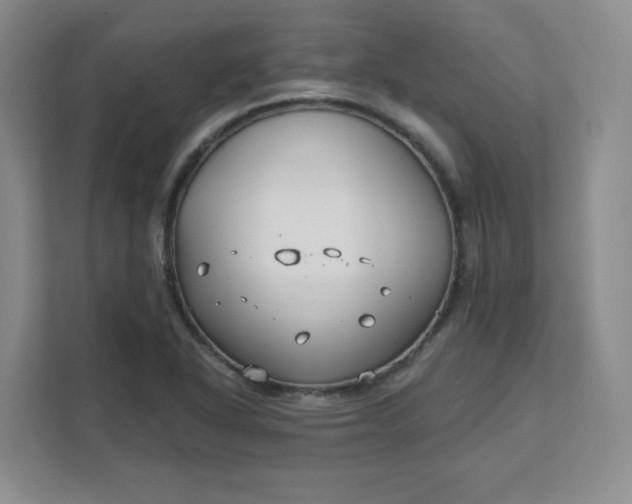 X0000111591318200907301418