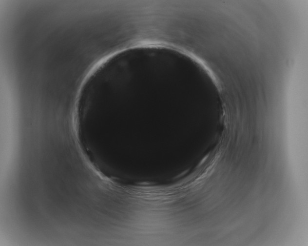 X0000111591319200907301418