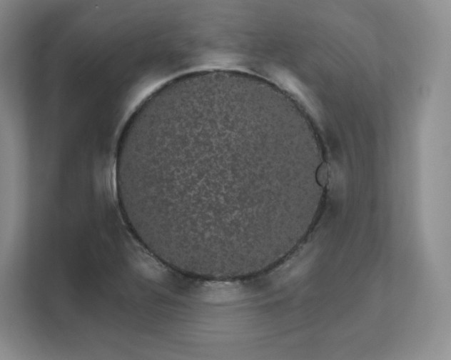 X0000111591320200907301418