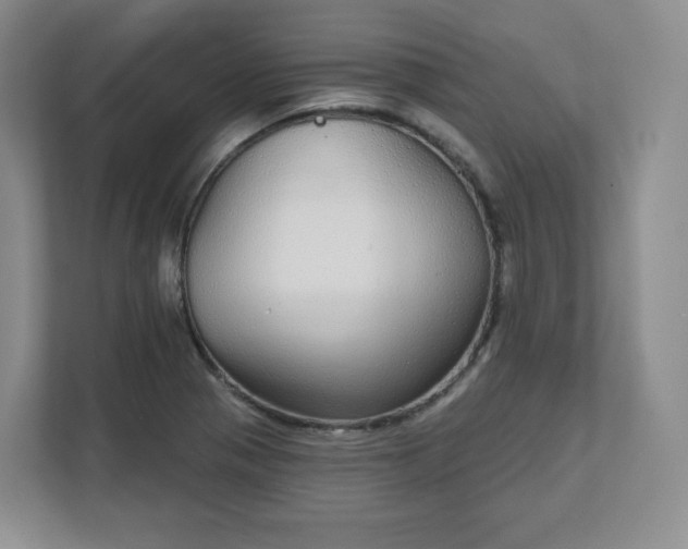 X0000111591321200907301418