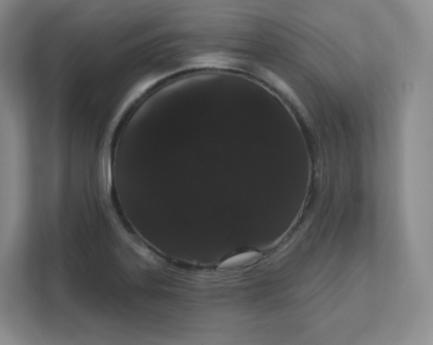 X0000111591323200907301418