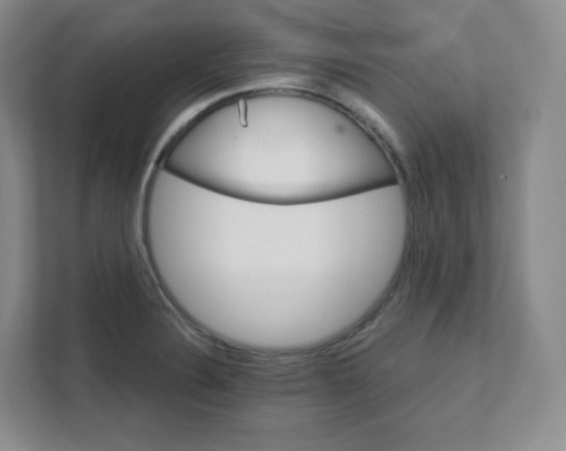 X0000111591324200907301418