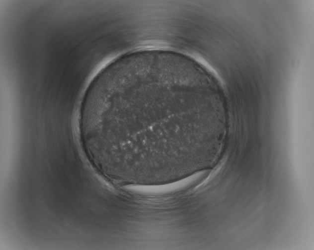 X0000111591325200907301418