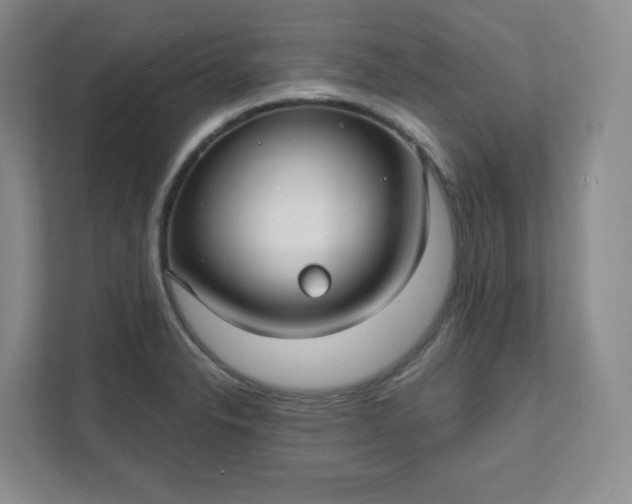 X0000111591326200907301418