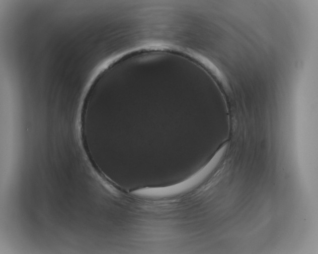 X0000111591327200907301418