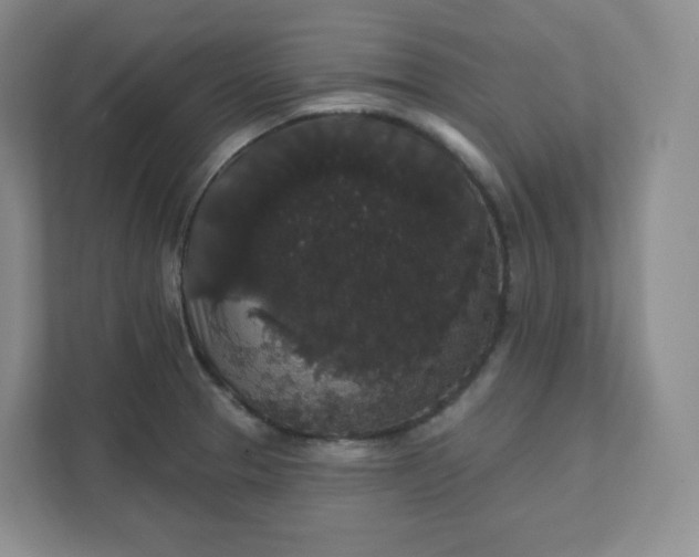 X0000111591329200907301418