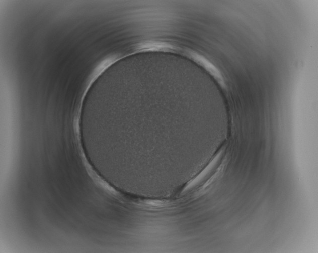 X0000111591330200907301418