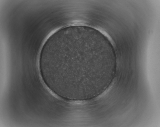 X0000111591333200907301418