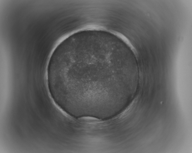 X0000111591335200907301418