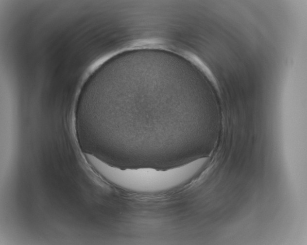 X0000111591336200907301418