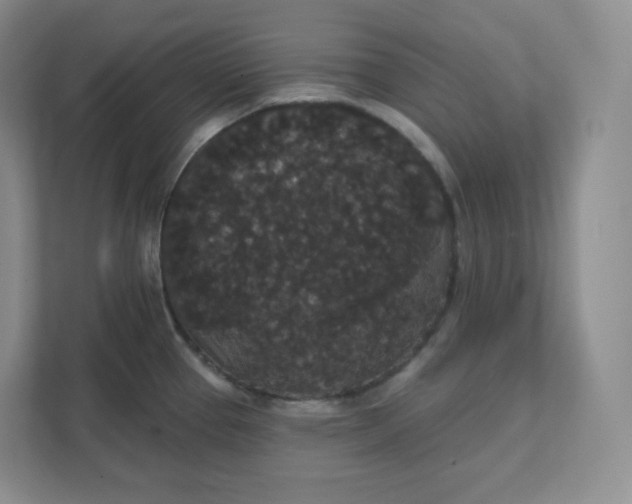 X0000111591337200907301418