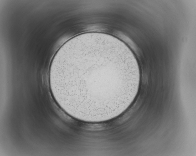 X0000111591338200907301418