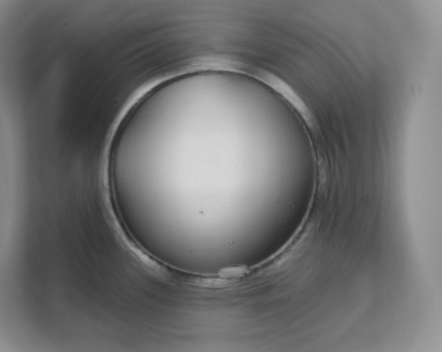 X0000111591339200907301418