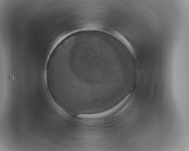 X0000111591340200907301418