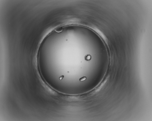 X0000111591341200907301418