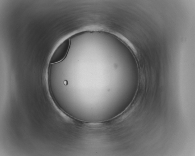 X0000111591343200907301418