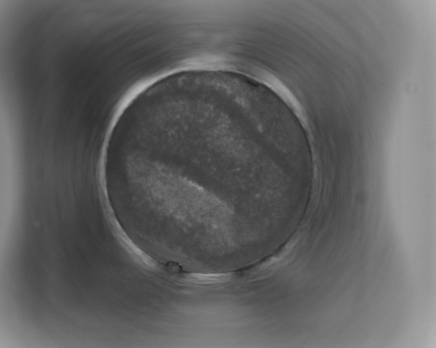 X0000111591344200907301418