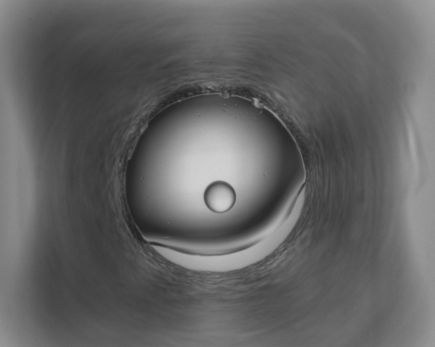 X0000111591345200907301418