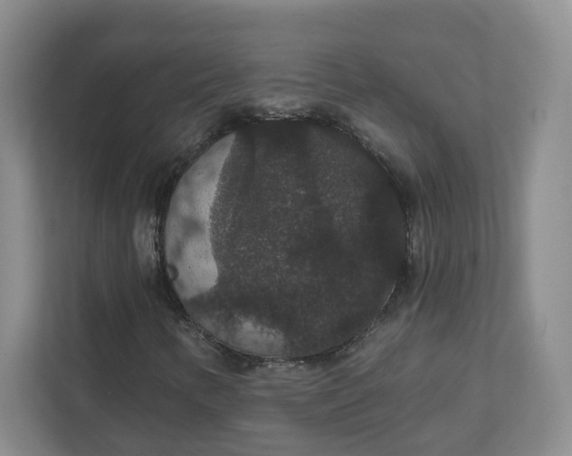 X0000111591346200907301418