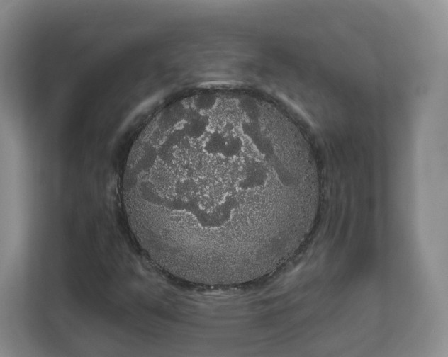 X0000111591351200907301418