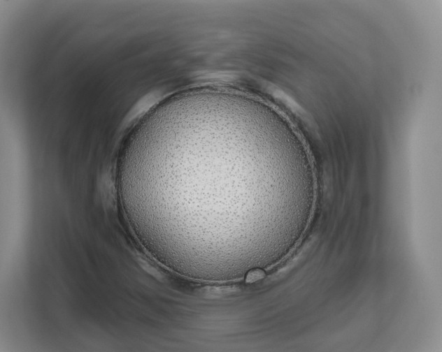 X0000111591354200907301418