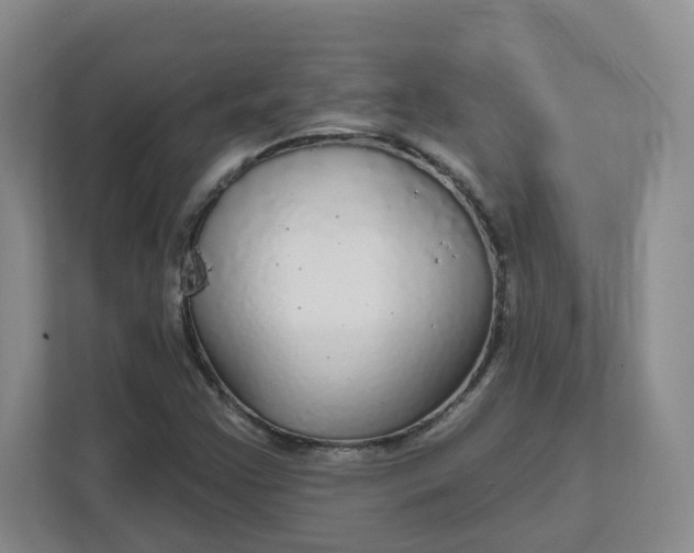 X0000111591355200907301418