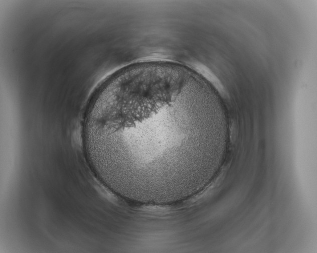 X0000111591356200907301418