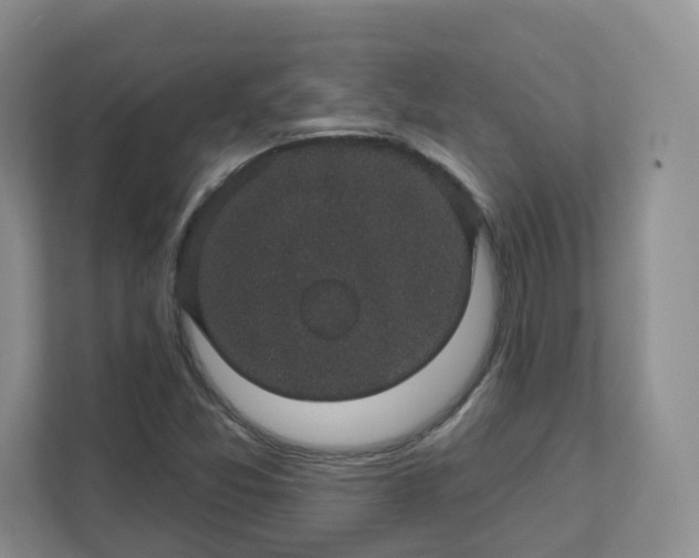 X0000111591357200907301418