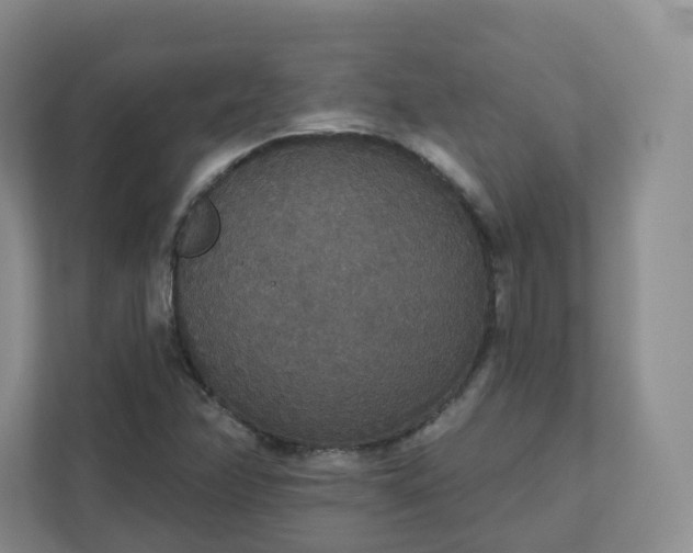 X0000111591358200907301418