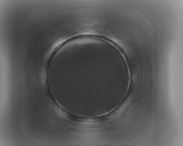 X0000111591359200907301418