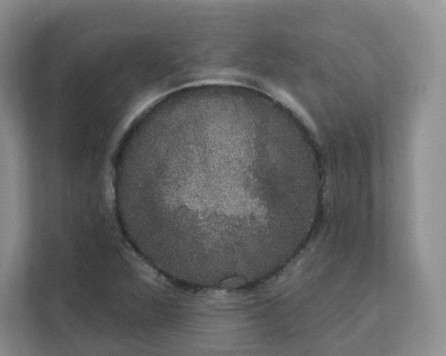 X0000111591360200907301418