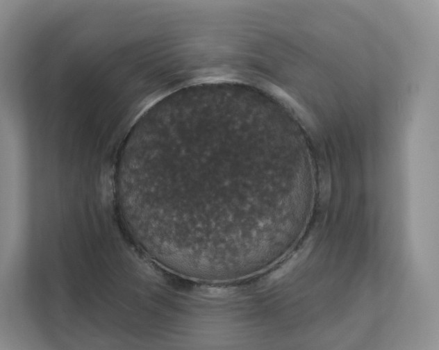 X0000111591361200907301418