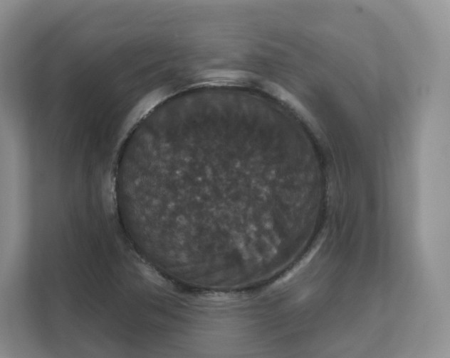 X0000111591362200907301418