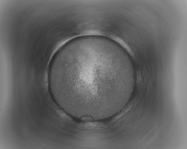 X0000111591364200907301417