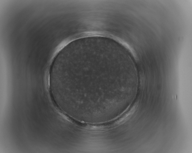 X0000111591365200907301417