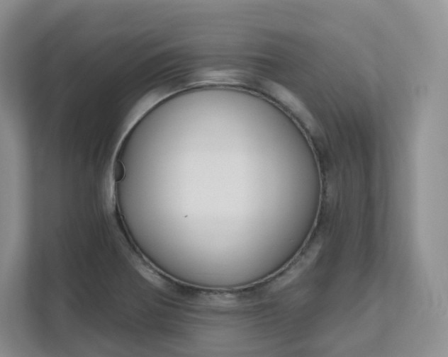 X0000111591370200907301417