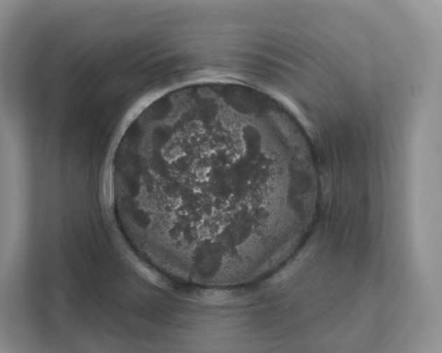 X0000111591371200907301417