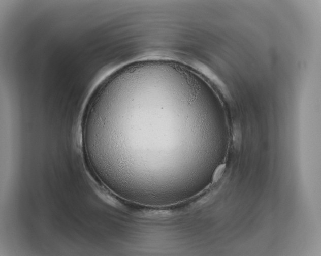 X0000111591372200907301417