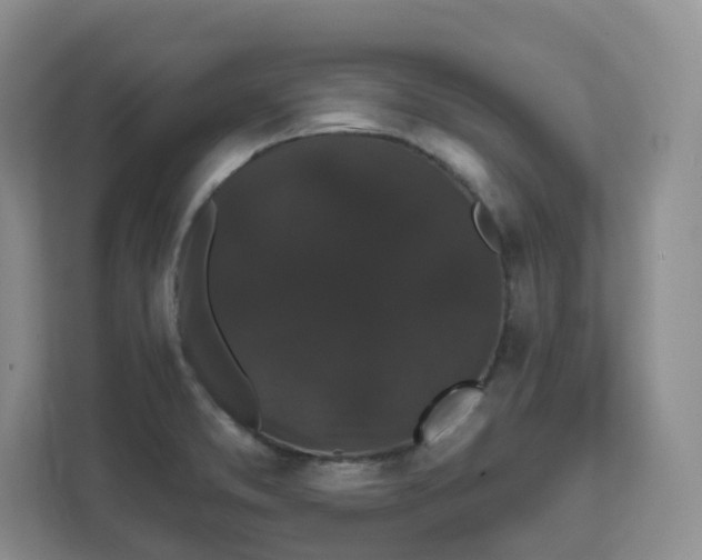 X0000111591373200907301417