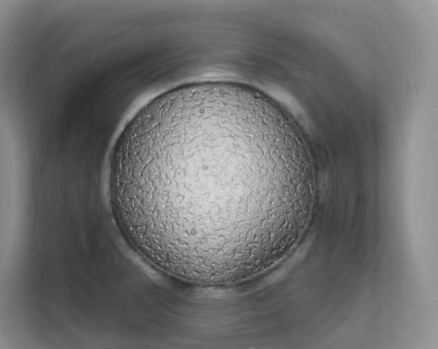 X0000111591374200907301417