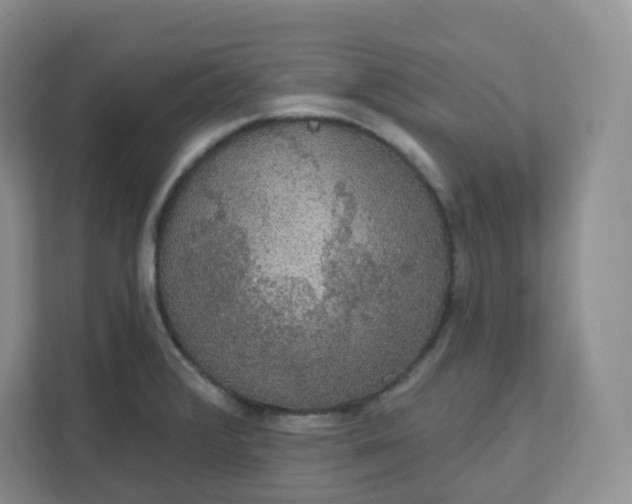 X0000111591376200907301417