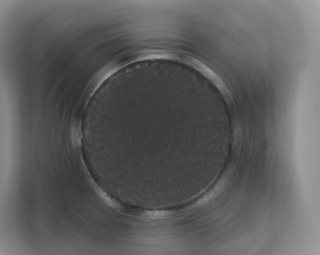 X0000111591377200907301417