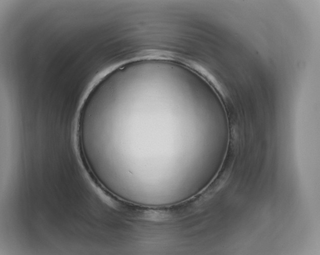 X0000111591379200907301417