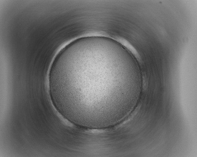 X0000111591380200907301417