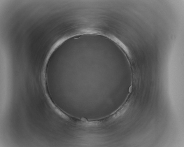 X0000111591381200907301417