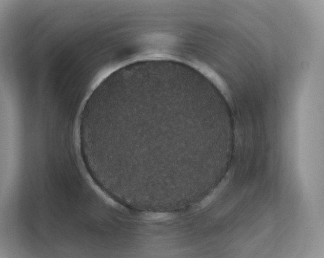 X0000111591382200907301417