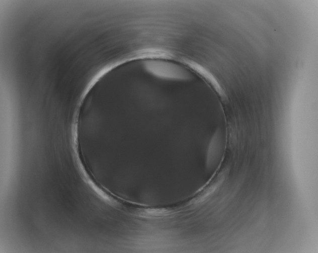 X0000111591383200907301417