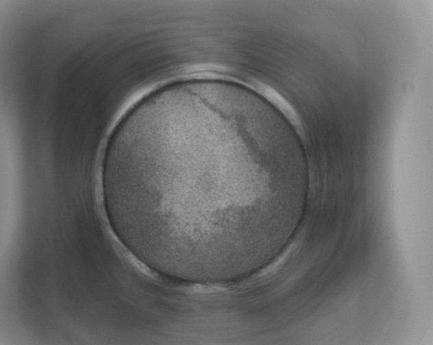 X0000111591384200907301417